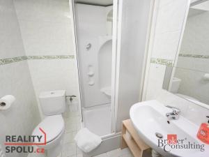 Prodej ubytování, Světlá pod Ještědem - Hoření Paseky, 702 m2