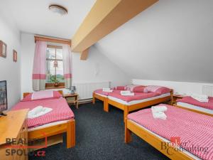 Prodej ubytování, Světlá pod Ještědem - Hoření Paseky, 702 m2