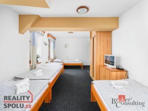 Prodej ubytování, Světlá pod Ještědem - Hoření Paseky, 702 m2