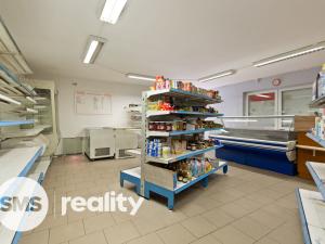 Prodej vícegeneračního domu, Dolní Lutyně, Neradská, 200 m2