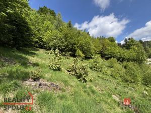 Prodej pozemku pro bydlení, Janov nad Nisou - Hraničná, 1161 m2