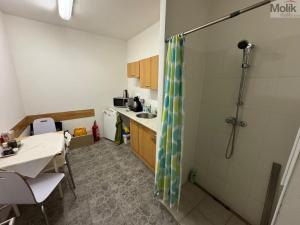 Prodej činžovního domu, Litvínov - Horní Litvínov, Ruská, 590 m2