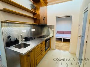 Pronájem bytu 2+1, Praha - Vinohrady, Na Folimance, 52 m2