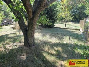 Prodej zahrady, Citonice, 384 m2
