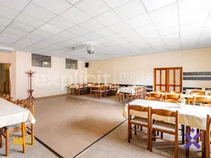 Prodej restaurace, Bojkovice, Sušilova, 1000 m2
