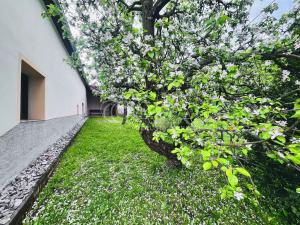 Prodej rodinného domu, Němčice, 84 m2