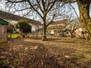 Prodej zemědělské usedlosti, Branišov, 300 m2