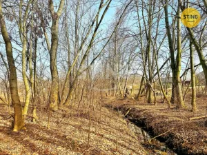 Prodej pozemku pro bydlení, Ostrava - Radvanice, 5079 m2