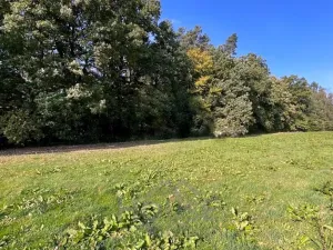 Prodej pozemku pro bydlení, Louňovice, Na Konci, 4297 m2