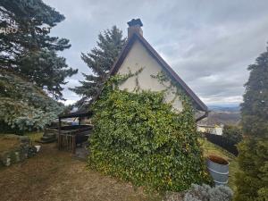 Prodej zahrady, Bílina, 569 m2
