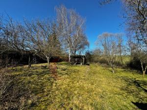 Prodej chalupy, Pňovany - Chotěšovičky, 56 m2