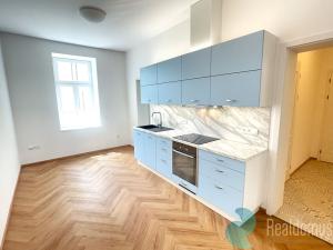 Pronájem bytu 1+1, České Budějovice, Fráni Šrámka, 48 m2