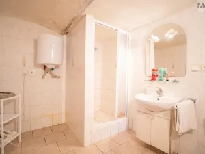 Prodej rodinného domu, Moldava, 390 m2