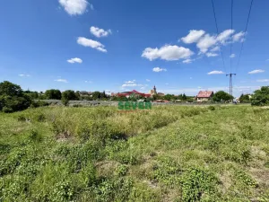 Prodej pole, Černčice, Mikoláše Alše, 2160 m2