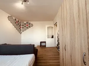 Pronájem bytu 1+1, Ostrava - Výškovice, Lužická, 38 m2