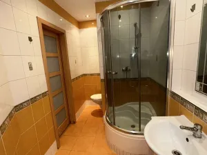 Pronájem bytu 2+kk, České Budějovice - České Budějovice 2, Dlouhá, 42 m2