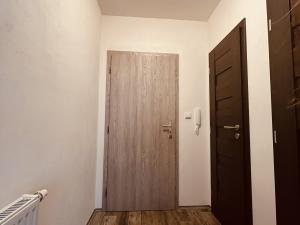 Pronájem bytu 1+kk, Frýdek-Místek - Místek, Družstevní, 27 m2