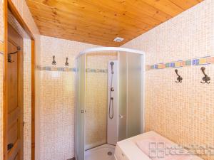 Prodej chalupy, Jindřichov - Nové Losiny, 300 m2
