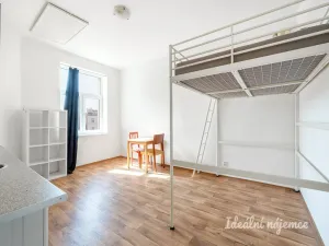Pronájem bytu 1+kk, Praha - Vršovice, Orelská, 25 m2