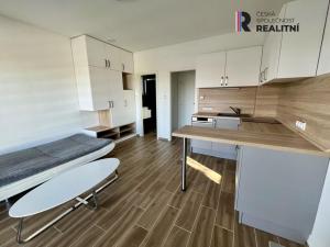 Pronájem bytu 1+kk, Žatec, Lounská, 30 m2