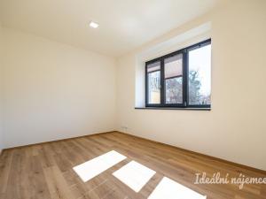 Pronájem bytu 3+kk, Hradec Králové - Pražské Předměstí, Albertova, 52 m2