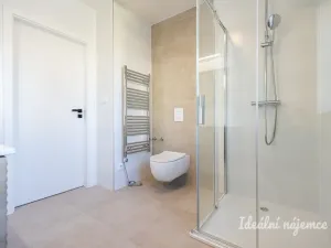 Pronájem bytu 3+kk, Hradec Králové - Pražské Předměstí, Albertova, 52 m2