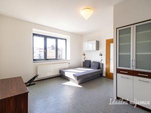 Pronájem bytu 3+kk, Hradec Králové - Pražské Předměstí, Albertova, 55 m2