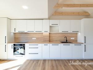 Pronájem bytu 3+kk, Hradec Králové - Pražské Předměstí, Albertova, 55 m2