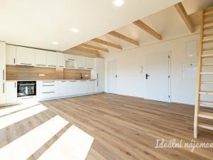 Pronájem bytu 3+kk, Hradec Králové - Pražské Předměstí, Albertova, 55 m2