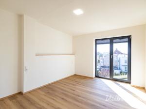 Pronájem bytu 3+kk, Hradec Králové - Pražské Předměstí, Albertova, 55 m2