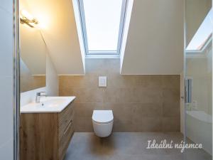 Pronájem bytu 3+kk, Hradec Králové - Pražské Předměstí, Albertova, 55 m2