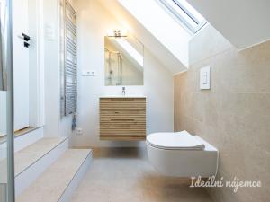 Pronájem bytu 3+kk, Hradec Králové - Pražské Předměstí, Albertova, 55 m2