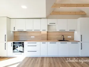 Pronájem bytu 3+kk, Hradec Králové - Pražské Předměstí, Albertova, 55 m2