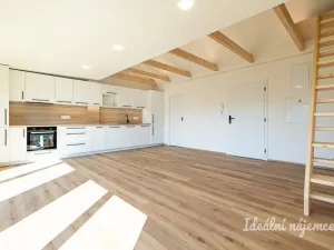 Pronájem bytu 3+kk, Hradec Králové - Pražské Předměstí, Albertova, 55 m2