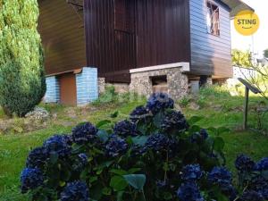 Prodej chaty, Albrechtice, 20 m2