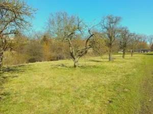 Prodej zahrady, Kanice, Kanice, 861 m2