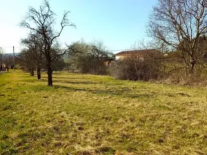 Prodej zahrady, Kanice, Kanice, 861 m2