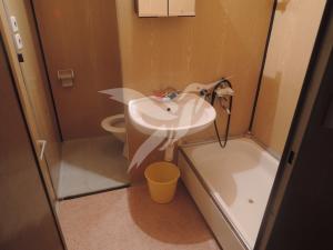 Pronájem bytu 1+kk, Plzeň, Hodonínská, 31 m2