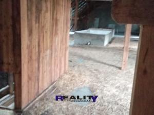 Prodej zemědělské usedlosti, Krásný Dvůr, 520 m2