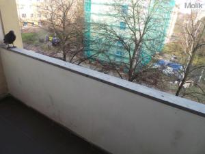 Pronájem bytu 2+1, Most, Zdeňka Fibicha, 53 m2