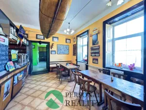 Prodej vícegeneračního domu, Zvíkovec, 522 m2