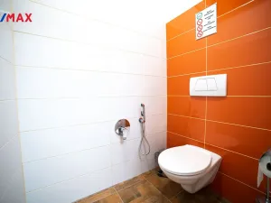 Prodej chalupy, Nový Hrádek, Končiny, 375 m2