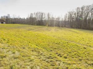 Prodej pozemku pro bydlení, Běstvina, 2243 m2