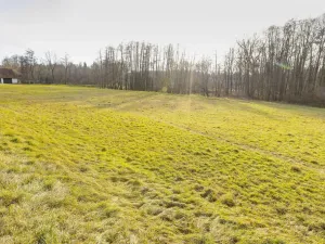 Prodej pozemku pro bydlení, Běstvina, 2532 m2