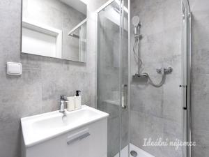 Pronájem bytu 1+kk, Praha - Kyje, Za černým mostem, 25 m2