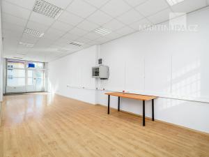 Prodej obchodního prostoru, Praha - Motol, Brdlíkova, 100 m2