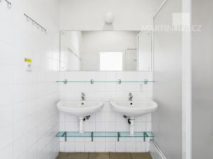 Prodej obchodního prostoru, Praha - Motol, Brdlíkova, 100 m2