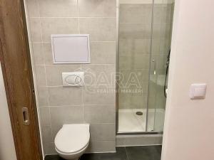 Pronájem bytu 1+kk, Praha - Braník, Nad lesním divadlem, 25 m2