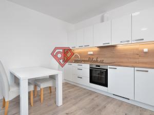 Prodej bytu 1+kk, Svitavy - Předměstí, Říční, 2830 m2