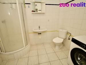 Pronájem bytu 1+kk, Vráto, 33 m2